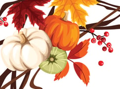 Gourds, fall leaves, berries and vines.
