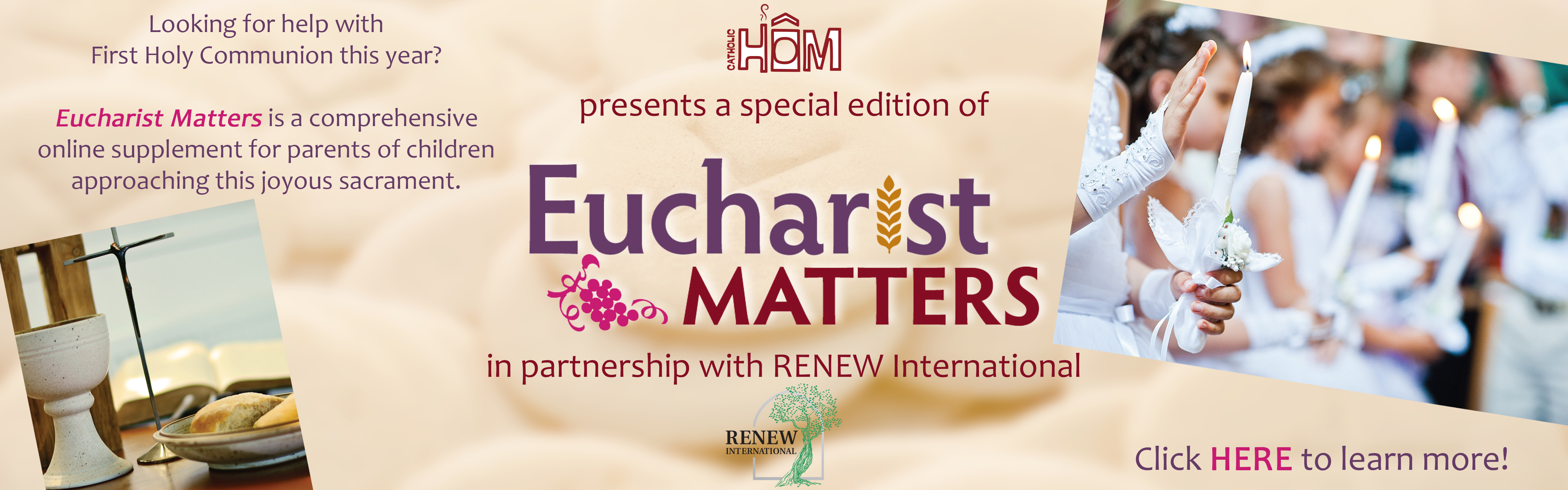 EM website banner final