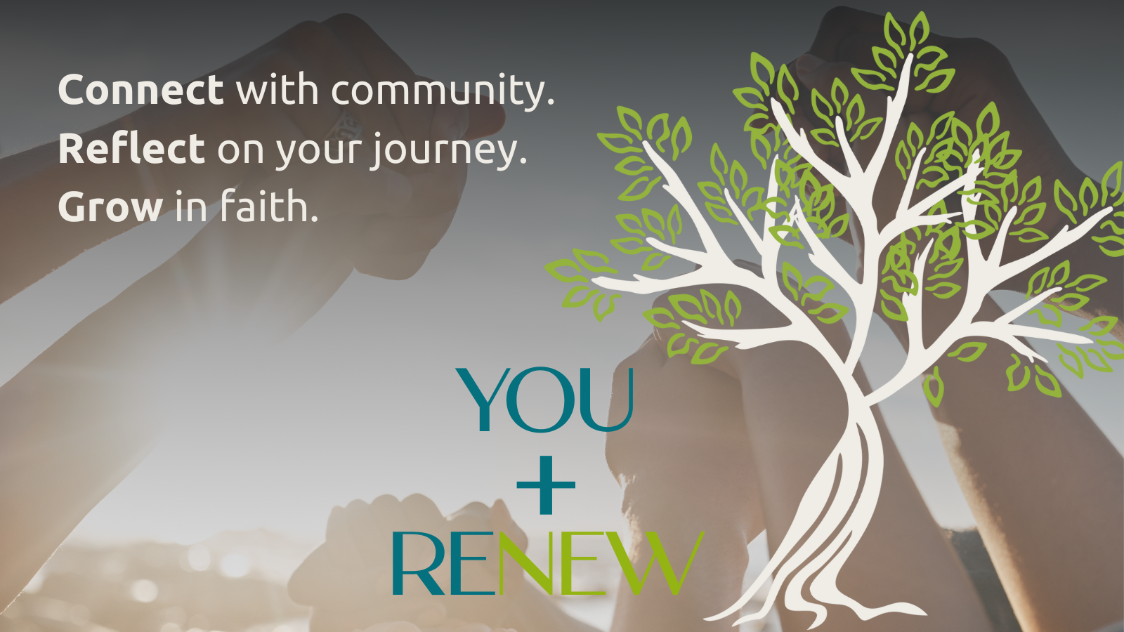 RENEW Banner (1080 x 1080 px) (1600 x 900 px)